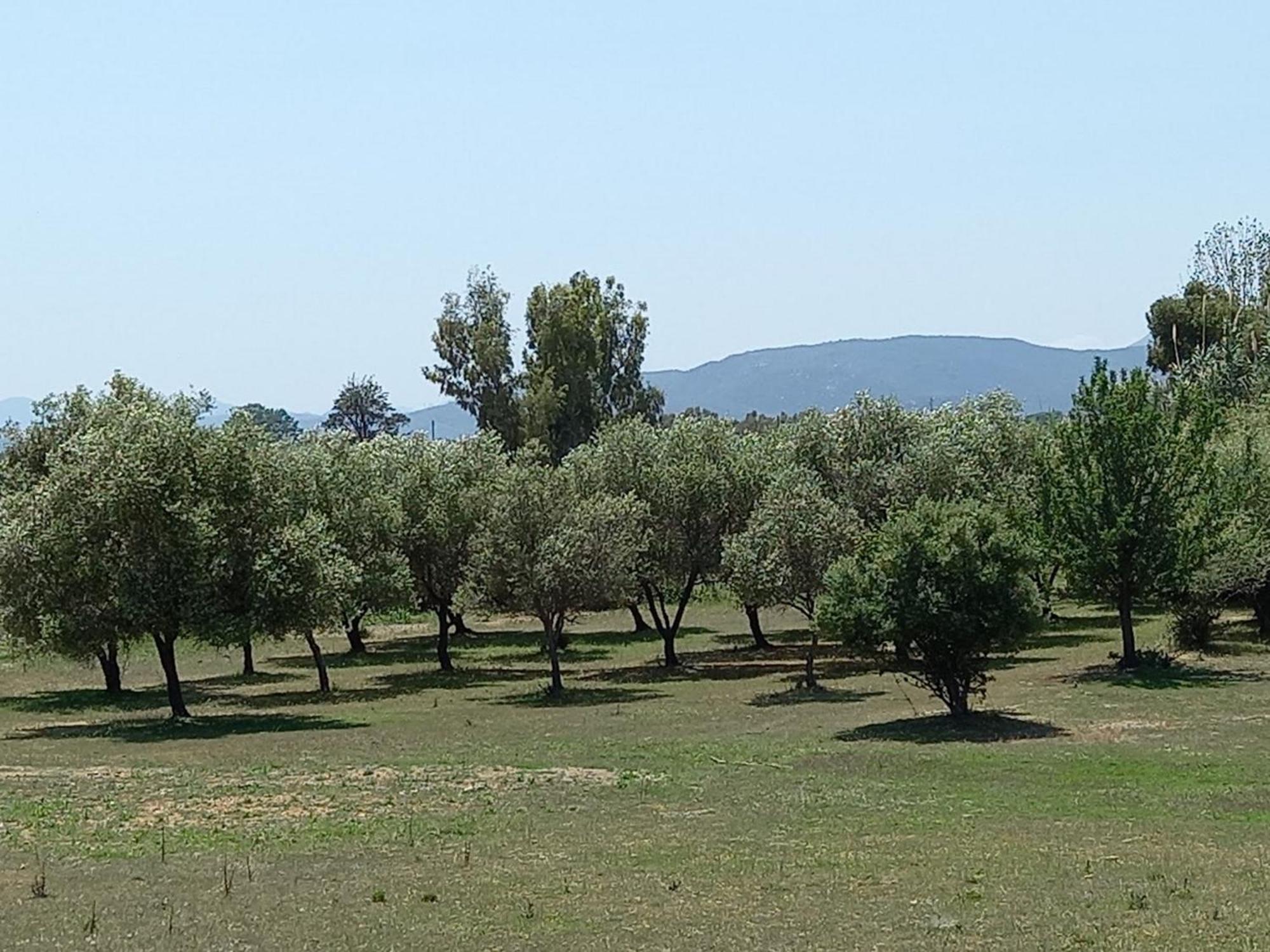 Basecamp Ogliastra - Flat Green Santa Maria Navarrese Exteriér fotografie
